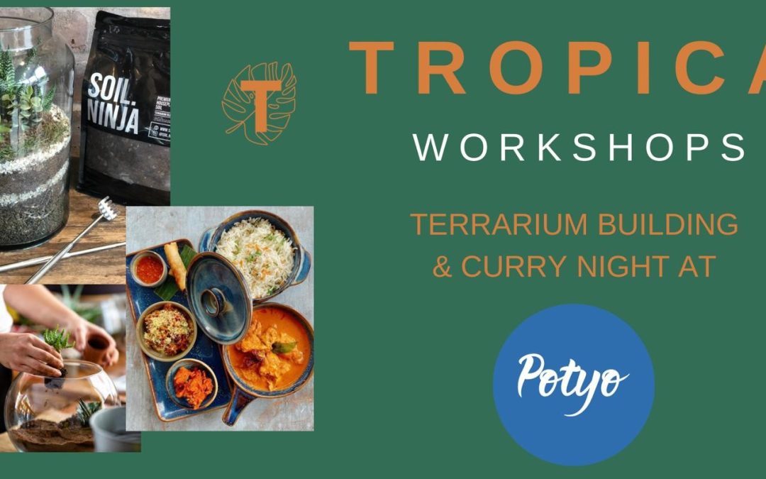 Terrarium building and curry event at Potyo