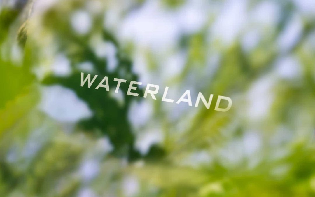 Waterland Private Equity
