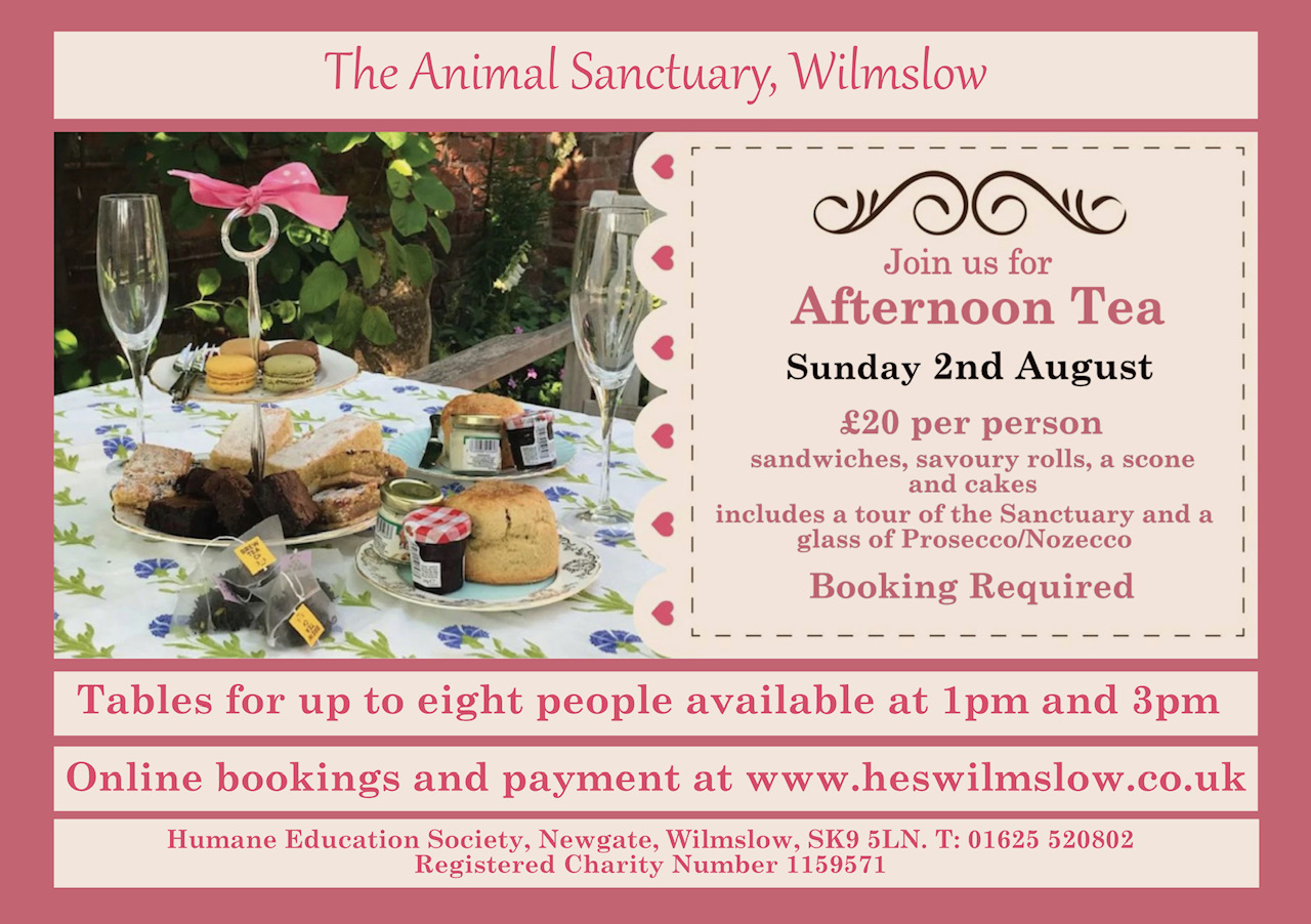 Afternoon Tea at The Animal Sanctuary, Wilmslow
